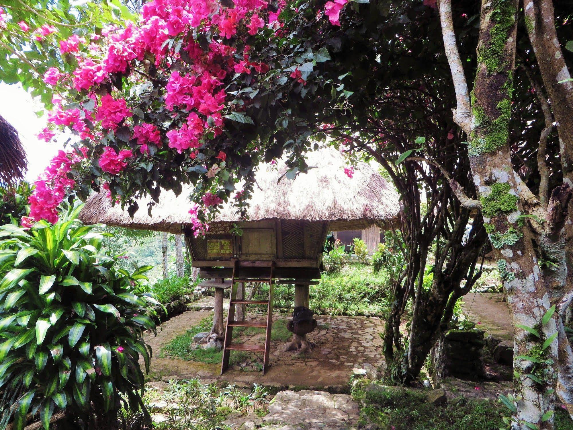 Native Village Inn Banaue Exterior photo